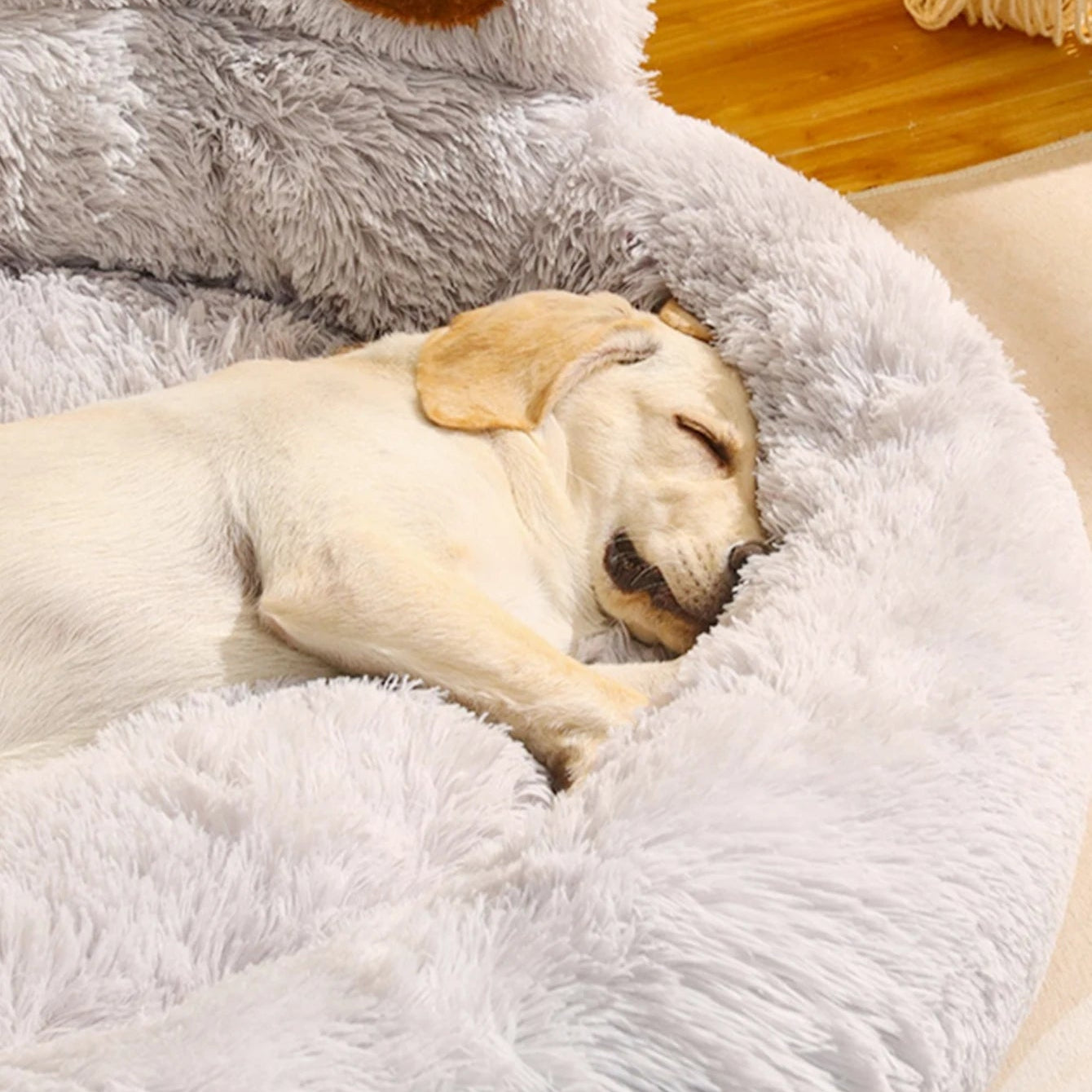 Cozy Basket Bed