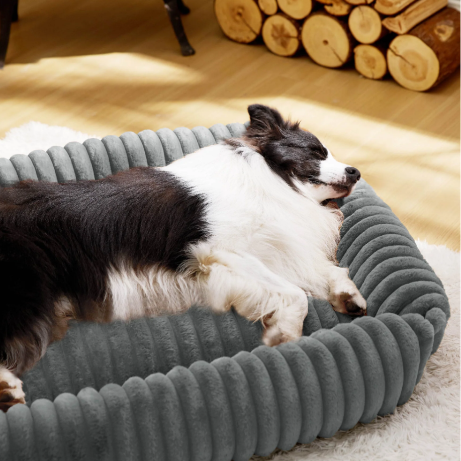 Pet Support Mattress Bed